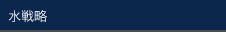 水戦略