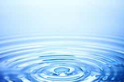 水質調査（土壌、空気、放射能、生物多様性等の環境調査）